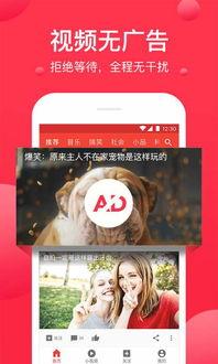 娱乐吃瓜酱蓝莓视频下载,娱乐吃瓜酱带你轻松获取热门娱乐内容